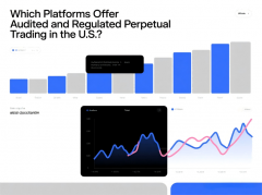 Which Platforms Offer Audited and Regulated Perpetual Tradin